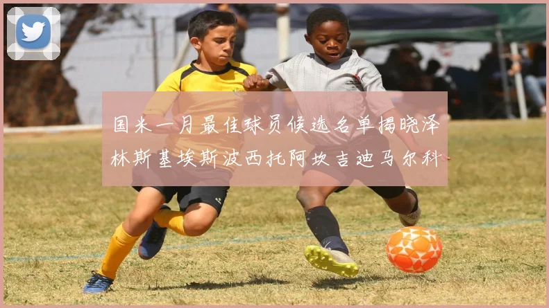 国米一月最佳球员候选名单揭晓泽林斯基埃斯波西托阿坎吉迪马尔科争夺荣誉