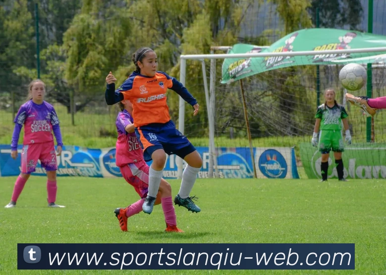 篮球赌注APP 封面图