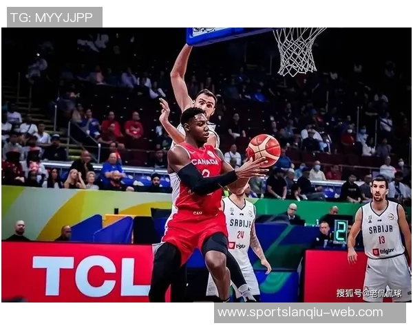 鲍威尔称赞约维奇展现真实自我期待他按风格自由发挥